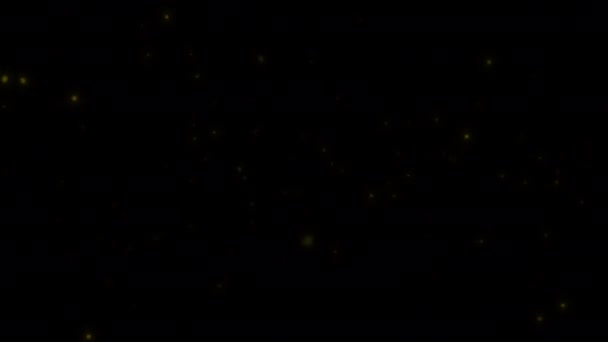 概念16 L1飛行運動 飛行挙動 と発光アニメーションで夜に輝くホタルの飛行の眺め — ストック動画