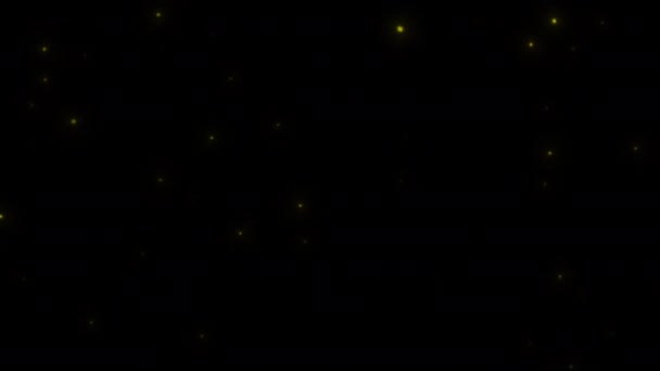 概念3 L1夜間に発光するホタルを飛行運動 飛行挙動 と発光アニメーションで見る — ストック動画