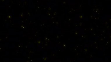 4-L1 konsepti uçan ateş böceklerinin gece parlayan görüntüsü (uçuş davranışı) ve parıldayan animasyon.