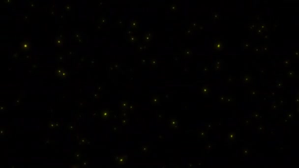 コンセプト4 L1飛行運動 飛行挙動 と発光アニメーションで夜に輝くホタルの飛行の眺め — ストック動画