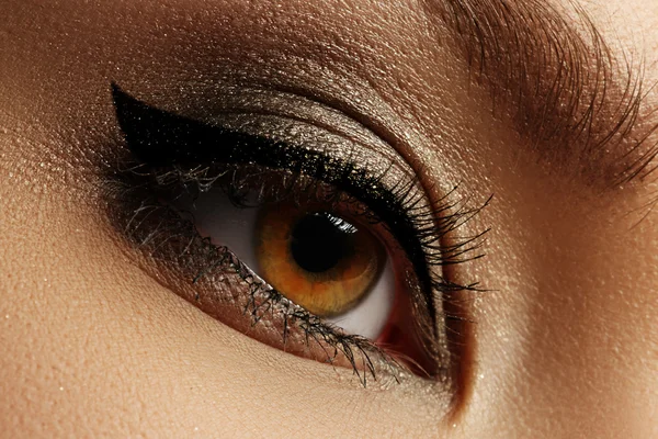 Elegance close-up of beautiful female eye with fashion eyeshadow and eyeliner. Macro shot of woman's beautiful blue eye with extremely long eyelashes. Sexy view, sensual look — Stock Photo, Image