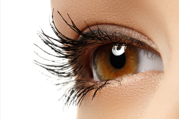 Primer plano macro de hermoso ojo femenino. Piel limpia, maquillaje natural de moda. Buena visión. Macro disparo del hermoso ojo de la mujer con pestañas extremadamente largas. Vista sexy, mirada sensual. Ojo femenino con pestañas largas — Foto de Stock