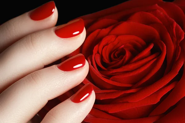 Imagen de cerca de uñas hermosas. Una buena idea para la publicidad de cosméticos para la manicura. Rose en la mano. Primer plano de la mano femenina sosteniendo una rosa sobre fondo negro — Foto de Stock