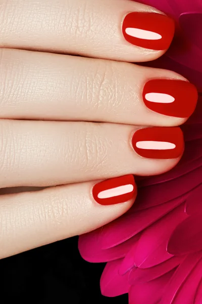 Beleza mãos delicadas com manicure segurando flor rosa de perto. Belos pregos e flor close-up, ótima ideia para a publicidade de cosméticos . — Fotografia de Stock