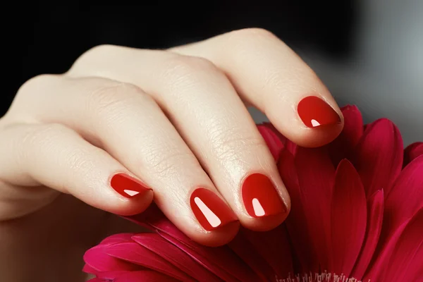 Bellezza mani delicate con manicure tenendo il fiore rosa da vicino. Belle unghie e fiori primo piano, grande idea per la pubblicità di cosmetici . — Foto Stock