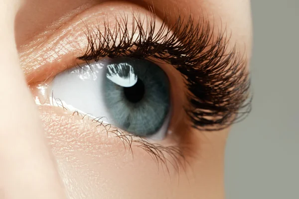 Ojo femenino con pestañas largas de cerca. Primer plano de gris femenino - ojo de color azul con maquillaje de día. Belleza ojo femenino con pestañas largas rizadas —  Fotos de Stock