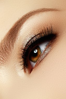 Kaşlar, kahverengi kaptırdın ve uzun kirpiklerini mükemmel şekli. Kozmetik ve makyaj. Modern moda makyaj. Klasik kahverengi dumanlı göz makyajı