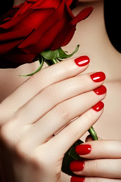 Manucure. Belles mains de femme soignée avec vernis à ongles rouge. Belle manucure rouge. Fille avec vernis à ongles rouges sur les ongles. Lumineux vernis rouge sur les ongles et tenant rose rouge — Photo