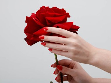 Kırmızı manikür ve rose ile kadın el