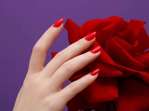 Belleza manos con manicura de moda roja y flor brillante. Hermoso esmalte rojo cuidado en las uñas. Cosméticos y maquillaje fáciles —  Fotos de Stock