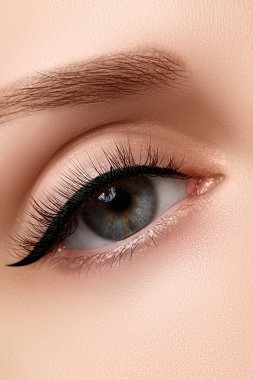 Son derece uzun kirpikli, güzel bir kadının makro görüntüsü. Seksi görünüm, şehvetli görünüm. Uzun kirpikli bir kadın gözü.