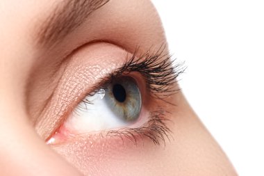 Macro shot of woman's beautiful eye with extremely long eyelashes