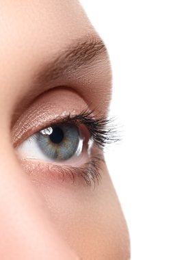 Macro shot of woman's beautiful eye with extremely long eyelashes