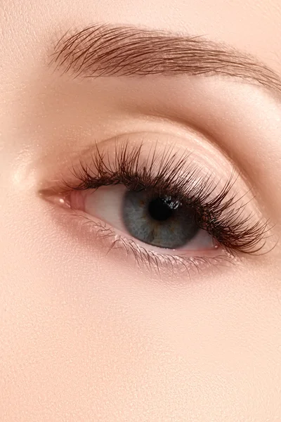 Макро-снимок красивого глаза женщины с чрезвычайно длинными ресницами. Сексуальный вид, чувственный вид. Женский глаз с длинными ресницами — стоковое фото