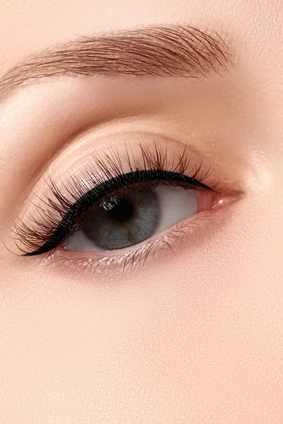 Macro shot of woman's beautiful eye with extremely long eyelashes. Sexy view, sensual look. Female eye with long eyelashes — Stock Photo, Image