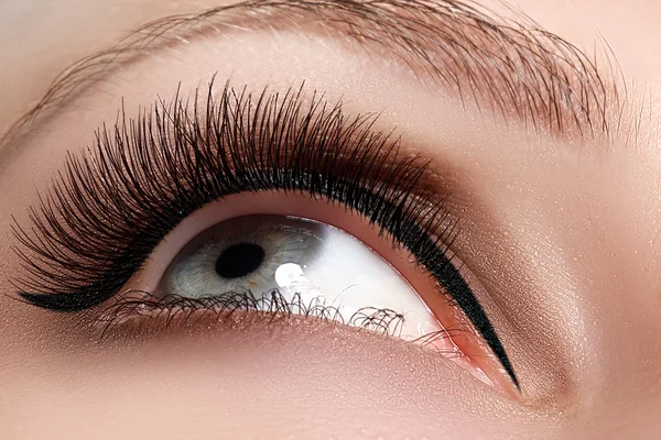 Macro shot of woman's beautiful eye with extremely long eyelashes. Sexy view, sensual look. Female eye with long eyelashes — Stock Photo, Image