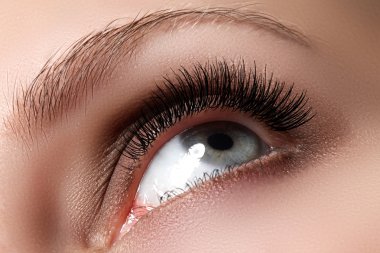 Macro shot of woman's beautiful eye with extremely long eyelashes. Sexy view, sensual look. Female eye with long eyelashes. Eyelashes extensions. Perfect make-up