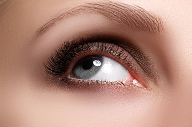 Macro shot of woman's beautiful eye with extremely long eyelashes. Sexy view, sensual look. Female eye with long eyelashes. Eyelashes extensions. Perfect make-up