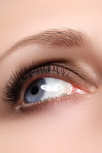 Elegance close-up of female eye with classic dark brown smoky make-up. Macro shot of woman's face part. Beauty, cosmetics and makeup. — Stock Photo, Image