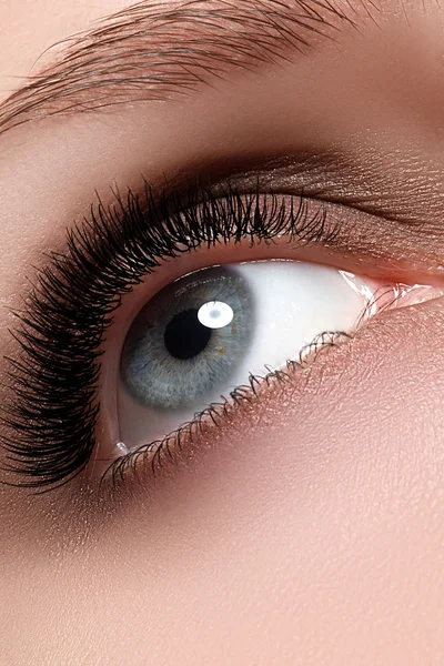 Macro shot of woman's beautiful eye with extremely long eyelashes. Sexy view, sensual look. Female eye with long eyelashes. Eyelashes extensions. Perfect make-up — Φωτογραφία Αρχείου