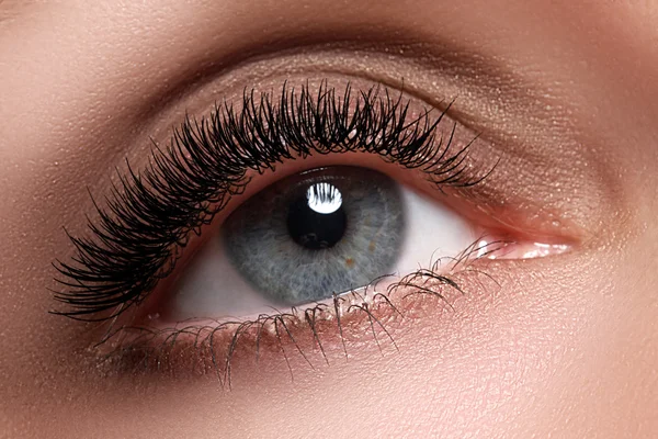 Macro shot of woman's beautiful eye with extremely long eyelashes. Sexy view, sensual look. Female eye with long eyelashes. Eyelashes extensions. Perfect make-up