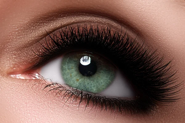 Macro shot of woman's beautiful eye with extremely long eyelashes. Sexy view, sensual look. Female eye with long eyelashes. Eyelashes extensions. Perfect make-up
