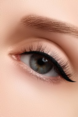 Son derece uzun kirpikli, güzel bir kadının makro görüntüsü. Seksi görünüm, şehvetli görünüm. Uzun kirpikli bir kadın gözü.