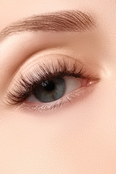 Makroaufnahme des schönen Auges der Frau mit extrem langen Wimpern. Sexy Blick, sinnlicher Blick. Weibliches Auge mit langen Wimpern — Stockfoto