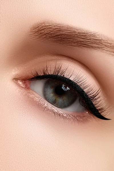 Macro shot of woman's beautiful eye with extremely long eyelashes. Sexy view, sensual look. Female eye with long eyelashes — Stock Photo, Image