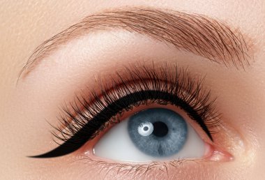 Elegance moda göz farı ve göz kalemi güzel kadın göz close-up. Makro çekim kadının güzel mavi gözle kirpik son derece uzun. Seksi görünüm, şehvetli bak