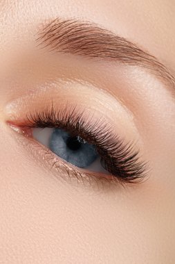 Elegance moda göz farı ve göz kalemi güzel kadın göz close-up. Makro çekim kadının güzel mavi gözle kirpik son derece uzun. Seksi görünüm, şehvetli bak