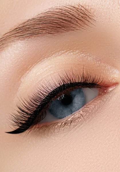 Elegancia primer plano de hermoso ojo femenino con sombra de ojos de moda y delineador de ojos. Macro disparo del hermoso ojo azul de la mujer con pestañas extremadamente largas. Vista sexy, aspecto sensual — Foto de Stock