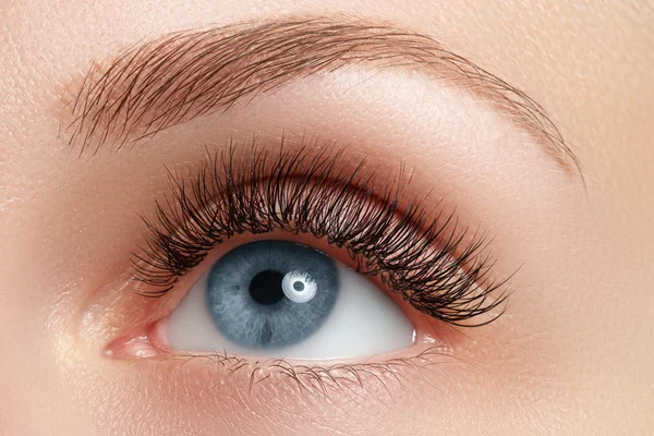 Macro shot of woman's beautiful eye with eyelashes. Sexy view, sensual look. Natural makeup. Macro shot of woman's beautiful eye with extremely long eyelashes — Stock fotografie