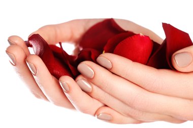 Beautiful female finger nails with natural nail closeup on petals. Perfect manicure. Woman hands with manicure natural nails closeup and rose. Skin and nail care.