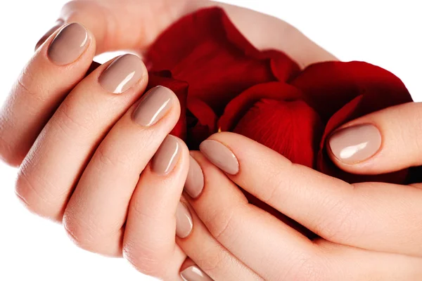 Beautiful female finger nails with natural nail closeup on petals. Perfect manicure. Woman hands with manicure natural nails closeup and rose. Skin and nail care. — 스톡 사진