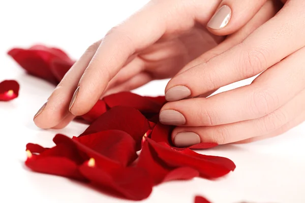 Beautiful female finger nails with natural  nail closeup on petals. Perfect manicure. Woman hands with manicure natural  nails closeup and rose. Skin and nail care. — 스톡 사진