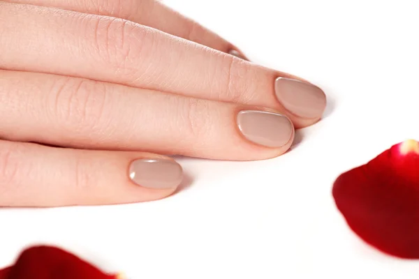 Belos pregos de dedo femininos com closeup unha natural em pétalas. Manicura perfeita. Mãos de mulher com manicura unhas naturais closeup e rosa. Cuidados com a pele e unhas . — Fotografia de Stock