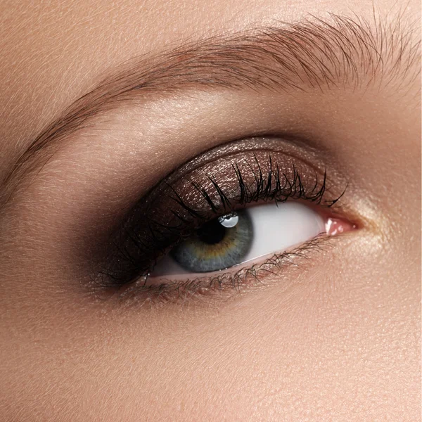 Elegancia primer plano de ojo femenino con maquillaje ahumado marrón oscuro clásico. Una foto macro de la cara de una mujer. Belleza, cosmética y maquillaje — Foto de Stock