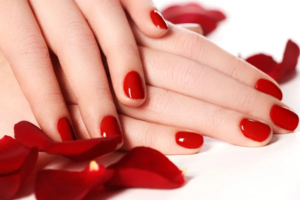 Belle unghie delle dita femminili con chiodo rosso primo piano sui petali. Manicure perfetta. Mani donna con manicure unghie rosse primo piano e rosa. Cura della pelle e delle unghie — Foto Stock