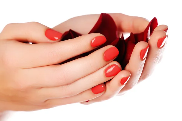 美丽的女性手指指甲与红色指甲特写在花瓣上。完美的指甲。女性手指甲红色指甲特写和玫瑰。皮肤和指甲护理 — 图库照片