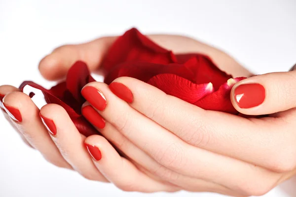 Hermosas uñas de dedo hembra con uña roja de cerca en pétalos. Manicura perfecta. Las manos de la mujer con las uñas rojas manicura primer plano y rosa. Cuidado de la piel y las uñas —  Fotos de Stock