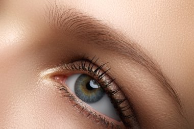 Göz makyajı. Güzel gözler makyaj. Tatil makyaj ayrıntı. Uzun kirpiklerini. Dumanlı gözler tarzı kadın göz makyaj yakın çekim çekim