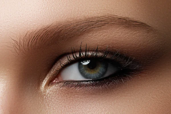 Elegancia primer plano de ojo femenino con maquillaje ahumado marrón oscuro clásico. Una foto macro de la cara de una mujer. Belleza, cosmética y maquillaje . — Foto de Stock