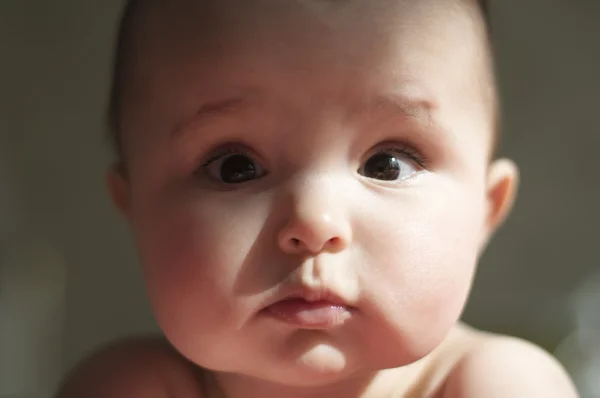 Portrait of baby — Stock Photo, Image