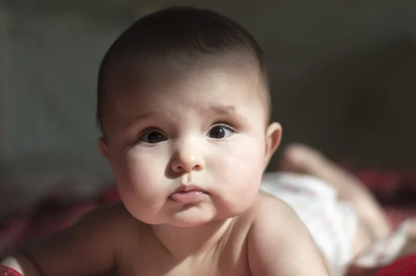 Baby lying on his stomach — Stock Photo, Image