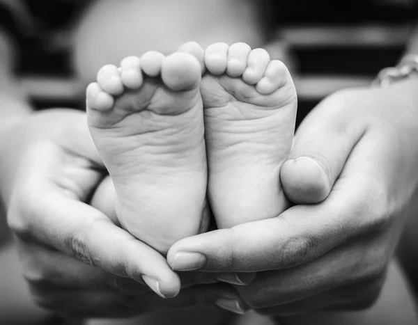 Pés de bebê pequeno nas mãos da mãe — Fotografia de Stock