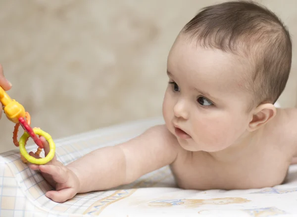 Bebê estende a mão um chocalho de brinquedo — Fotografia de Stock
