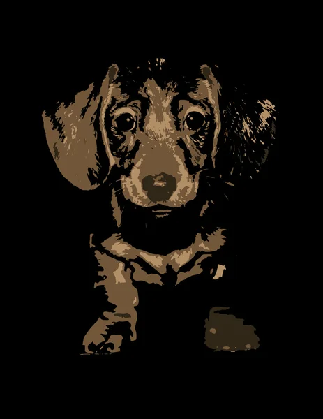 Dachshund. — Vetor de Stock