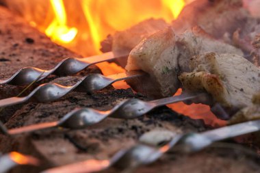 Kamp yeri hazırlayan bir kebabın yakın plan fotoğrafı.