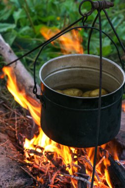 Dixie ateşin üzerinde duruyor, yakın plan fotoğraf..